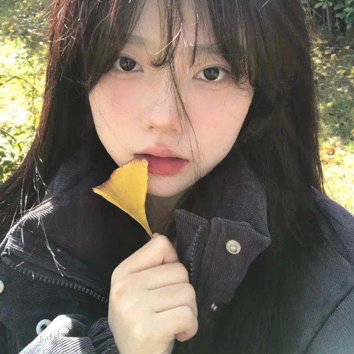 姐妹情殇
